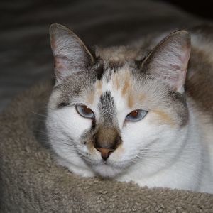 Meet your Posher, Patti